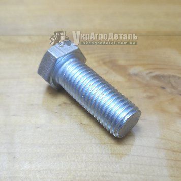 Болт кріплення кронштейна циліндра навішування ЮМЗ 1668661071 фото